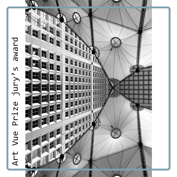 Art Vue Prize 2022 award