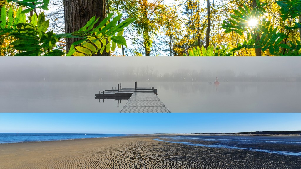 Successful publication – how to make the best out of Bruxelles Art&nbsp;Vue?