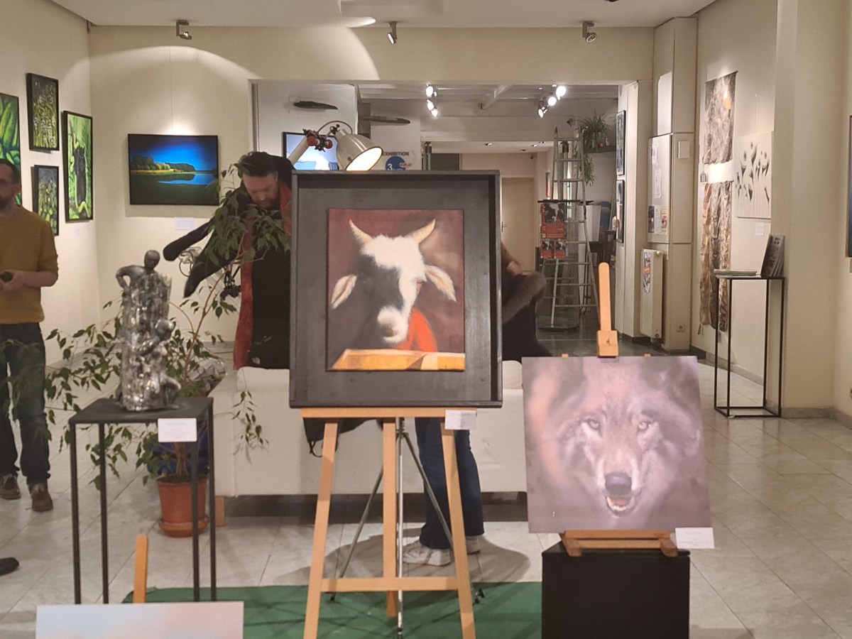 Limitless Nature Exhibition – March&nbsp;2022