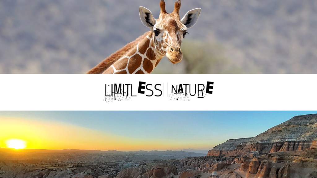 Limitless nature edition bruxelles art vue