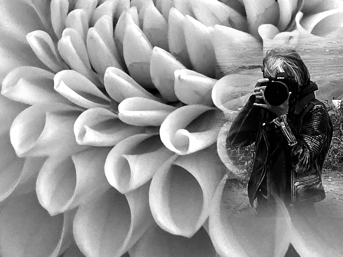 Life for a while or all eternity? – Eftychia&nbsp;Kazouka