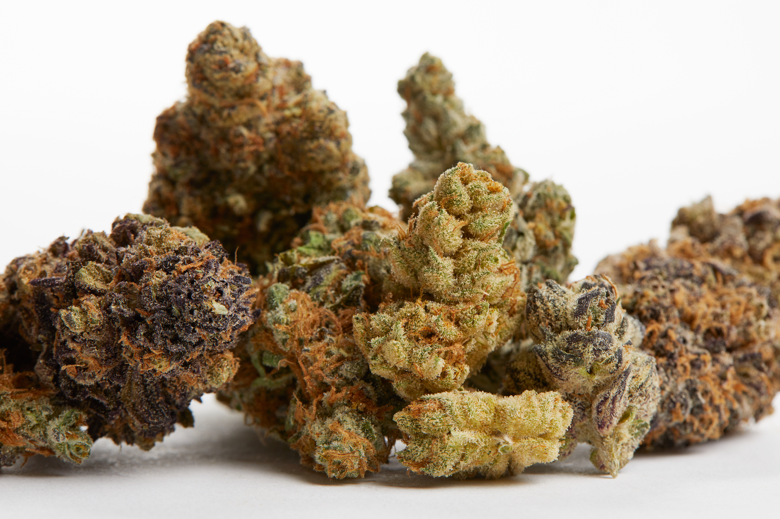 Strong THCA Strains Supporting Relaxation Focused Wellness Goals